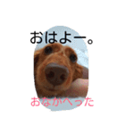 ロゼの一日（個別スタンプ：2）