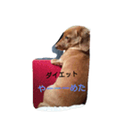 ロゼの一日（個別スタンプ：5）