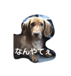 ロゼの一日（個別スタンプ：7）