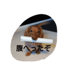 ロゼの一日（個別スタンプ：8）