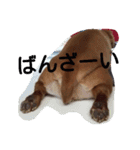 ロゼの一日（個別スタンプ：9）