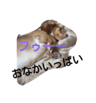 ロゼの一日（個別スタンプ：12）