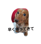 ロゼの一日（個別スタンプ：18）