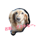 ロゼの一日（個別スタンプ：21）