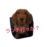 ロゼの一日（個別スタンプ：22）