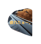 ロゼの一日（個別スタンプ：23）