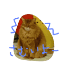 catcatcatdoog（個別スタンプ：2）