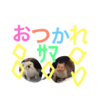 私のスタンプのあたん（個別スタンプ：6）