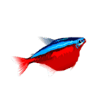 熱帯魚ライフ（個別スタンプ：3）
