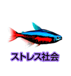 熱帯魚ライフ（個別スタンプ：24）
