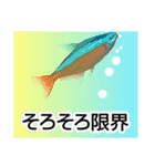 熱帯魚ライフ（個別スタンプ：25）
