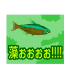 熱帯魚ライフ（個別スタンプ：26）