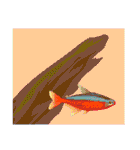 熱帯魚ライフ（個別スタンプ：27）