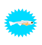 熱帯魚ライフ（個別スタンプ：32）