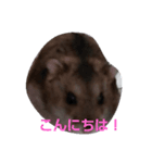 ムックです（個別スタンプ：2）