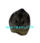 ムックです（個別スタンプ：3）