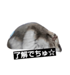 ムックです（個別スタンプ：6）