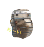 可愛いハムちゃんスタンプ（個別スタンプ：7）