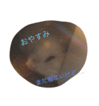 可愛いハムちゃんスタンプ（個別スタンプ：18）