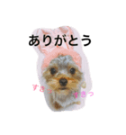 たろうくん。（個別スタンプ：1）
