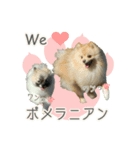 ポメラニアンず（個別スタンプ：29）
