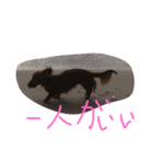 ミニチュアダックスフントのラテ（個別スタンプ：16）