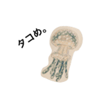 海の生き物 生活（個別スタンプ：5）