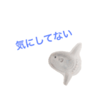 海の生き物 生活（個別スタンプ：8）