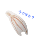海の生き物 生活（個別スタンプ：10）
