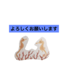海の生き物 生活（個別スタンプ：11）