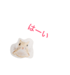 海の生き物 生活（個別スタンプ：13）