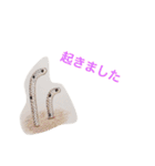 海の生き物 生活（個別スタンプ：14）