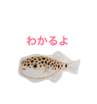 海の生き物 生活（個別スタンプ：15）