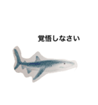 海の生き物 生活（個別スタンプ：18）