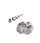 海の生き物 生活（個別スタンプ：23）