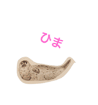 海の生き物 生活（個別スタンプ：27）