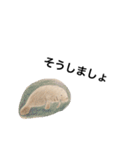 海の生き物 生活（個別スタンプ：31）
