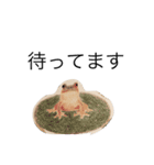 海の生き物 生活（個別スタンプ：32）