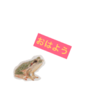 海の生き物 生活（個別スタンプ：34）