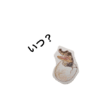 海の生き物 生活（個別スタンプ：35）