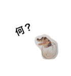 海の生き物 生活（個別スタンプ：38）
