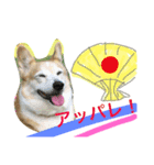 Corgi Nana（個別スタンプ：8）