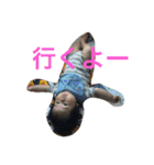 とらじっこ（個別スタンプ：4）