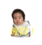 とらじっこ（個別スタンプ：6）