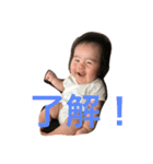 とらじっこ（個別スタンプ：7）