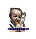 admjgptWptw（個別スタンプ：1）