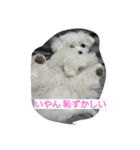 ゴン太と一緒（個別スタンプ：16）