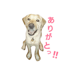 我は大富豪なり（個別スタンプ：14）