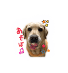 ミニーさん@DKF（個別スタンプ：9）