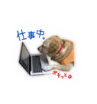 ミニーさん@DKF（個別スタンプ：15）